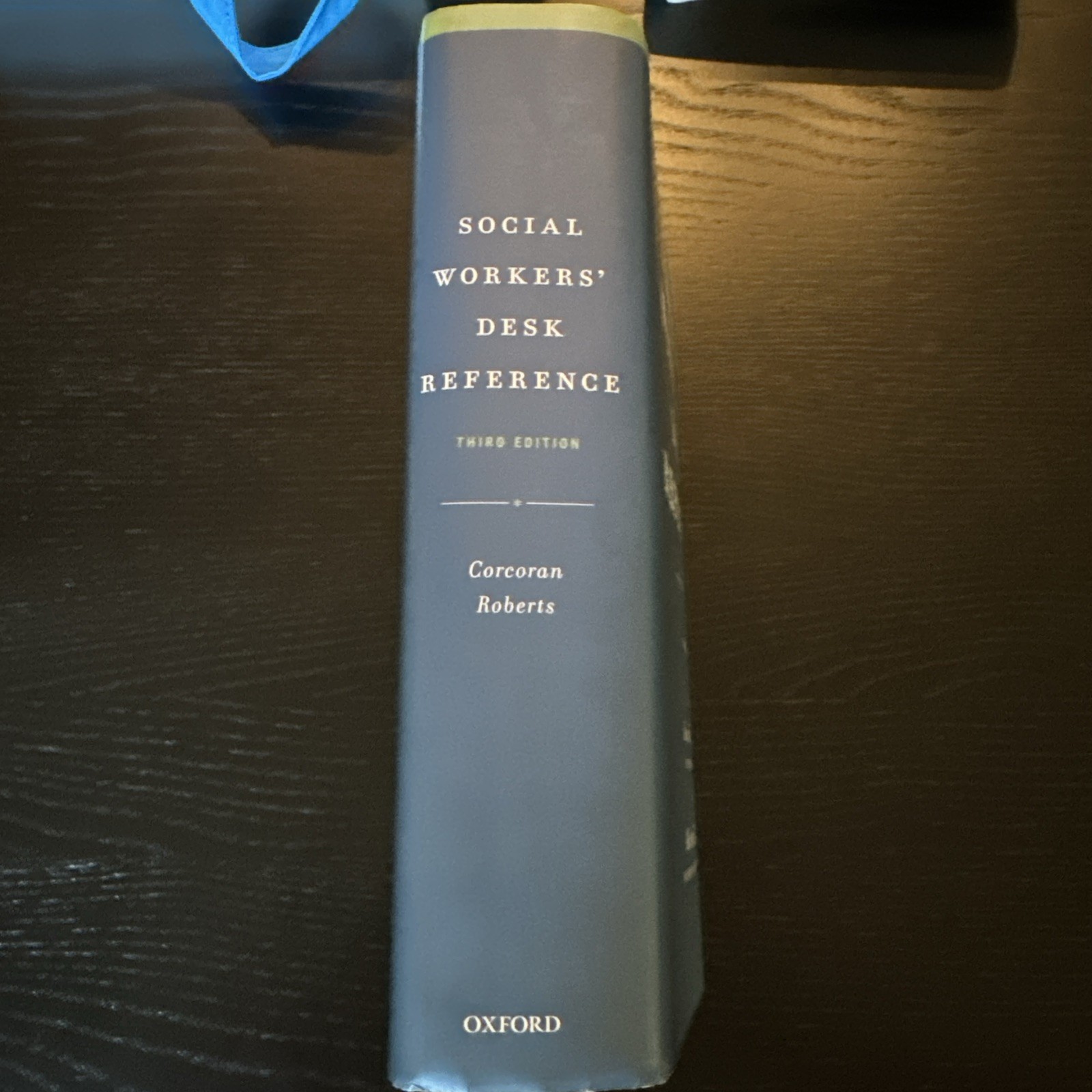 Social Workers’ Desk Reference by Albert R. Roberts (2015, Trade Paperback)