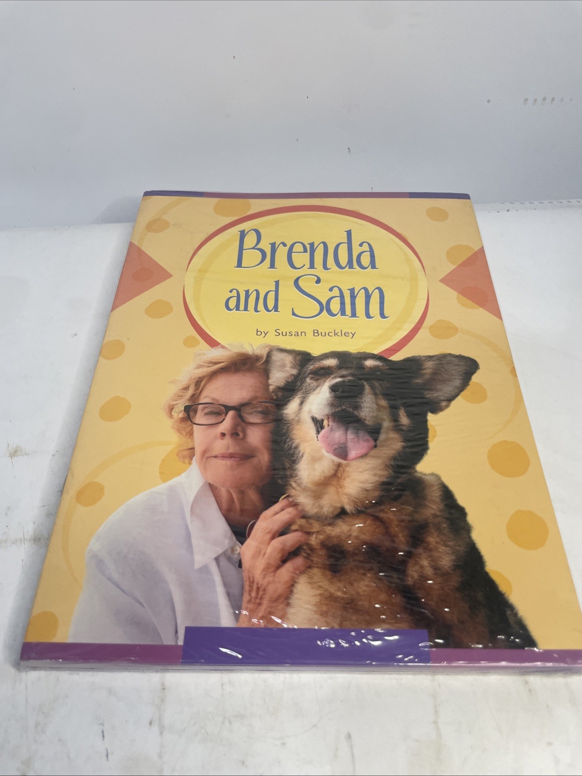 Fountas & Pinell Literacy Sealed 6 Pack Book Set BRENDA And SAM