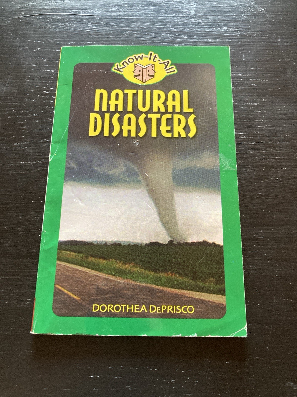 Natural Disasters by Dorothea Deprisco (2001, Paperback)