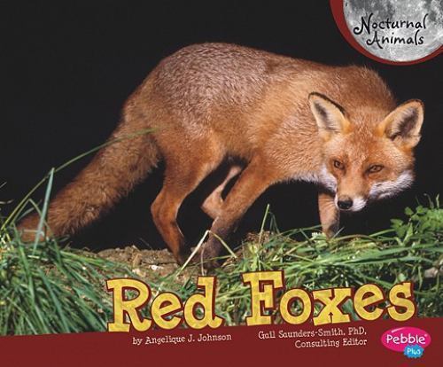 Red Foxes (Pebble Plus: Nocturnal Animals) by Judith Angelique Johnson
