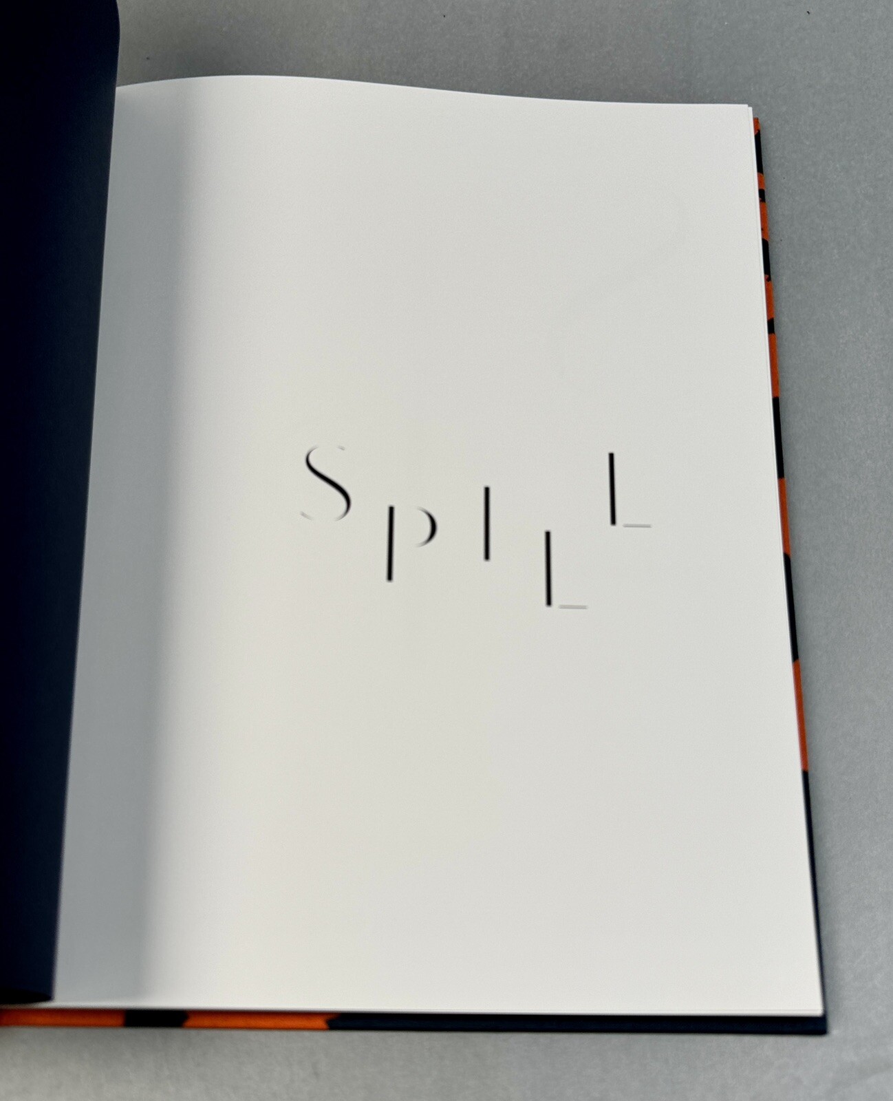 Spill: Daniel Beltra by Barbara Bloemink:
