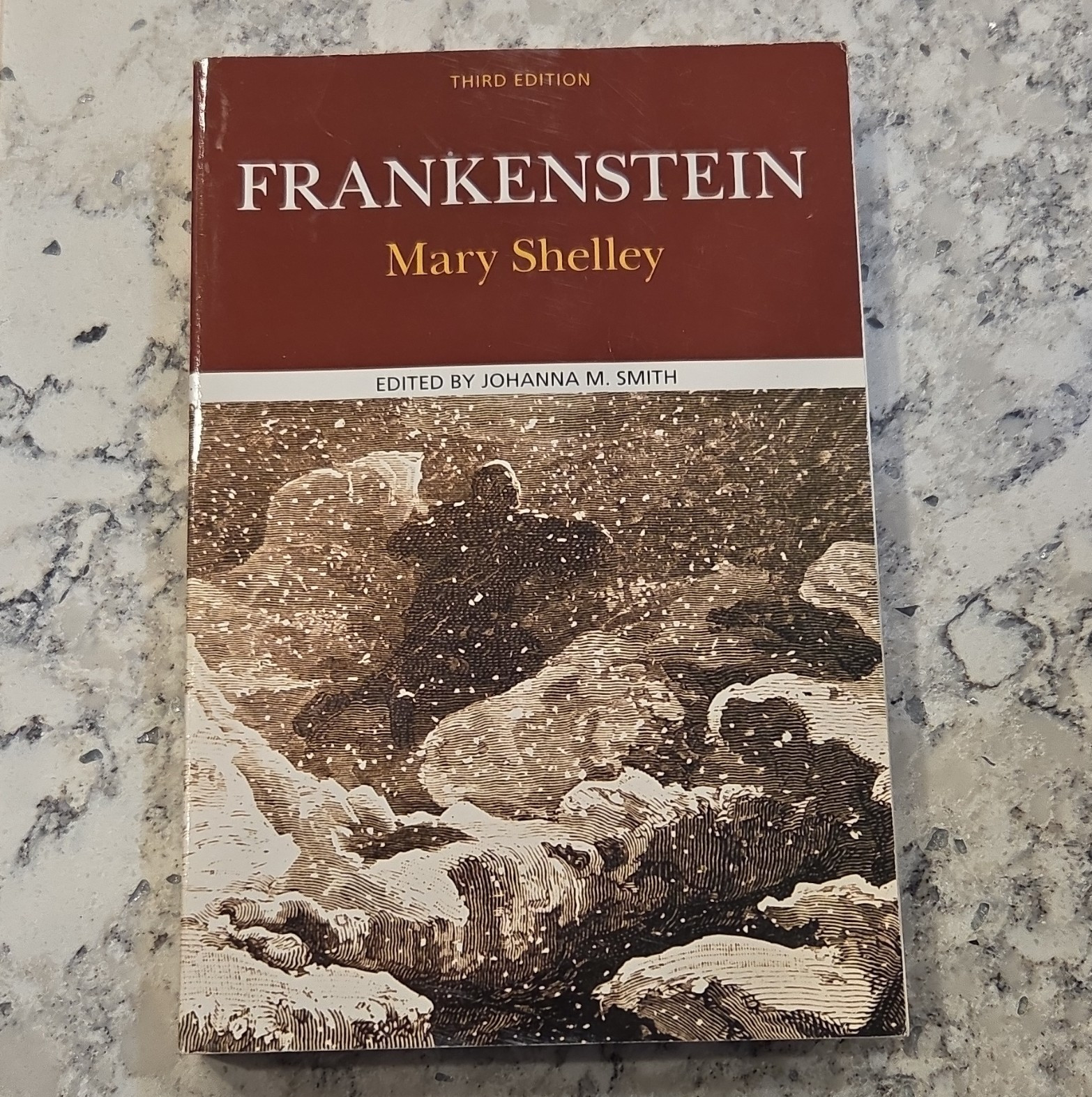 Mary Shelley Frankenstein 3rd Edition Paperback 2015 Bedford/St. Martin’s